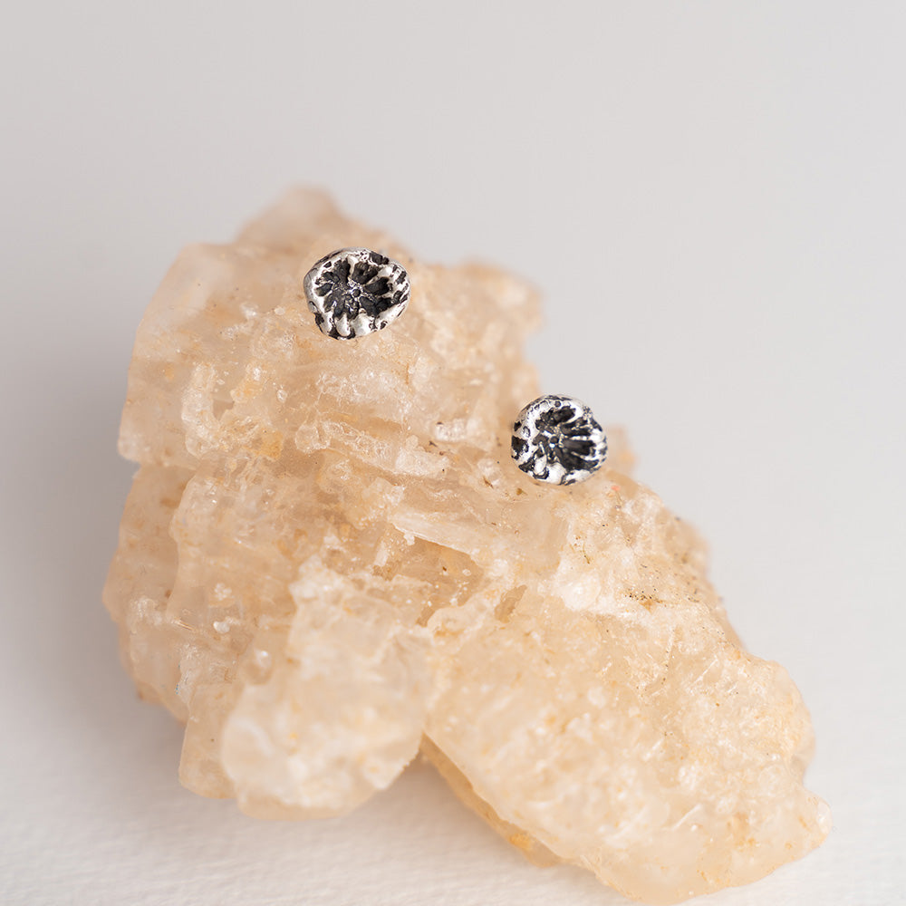 Small Coral Studs Earrings